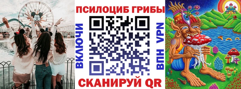 Псилоцибиновые грибы прущие грибы  даркнет как зайти  Вяземский  как найти  